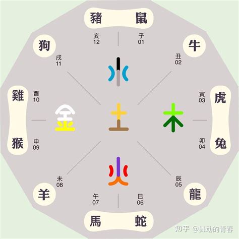 美容五行属什么|【美容行業五行】美容行業五行大解析！屬火還屬水？